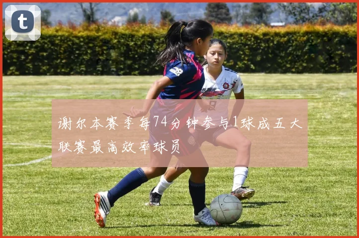 谢尔本赛季每74分钟参与1球成五大联赛最高效率球员