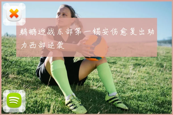 鹈鹕迎战东部第一锡安伤愈复出助力西部逆袭