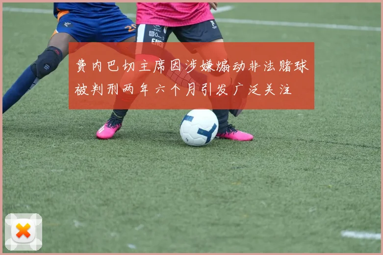 费内巴切主席因涉嫌煽动非法赌球被判刑两年六个月引发广泛关注